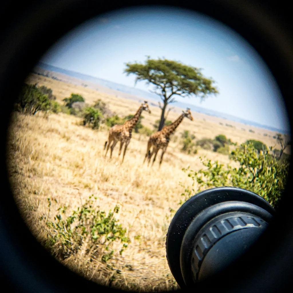 Duas girafas na savana vistas através do ocular do MaxVision